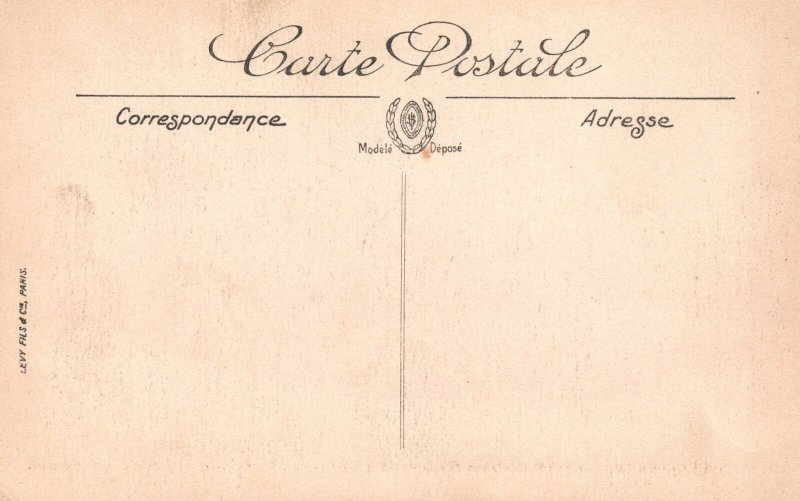 Nice Cimiez Le Winter Palace Hotel & Grounds Nice France Vintage Postcard