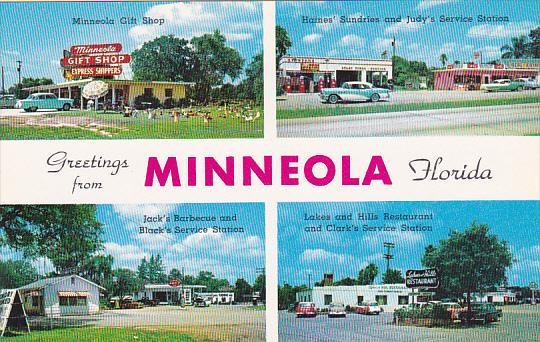 Florida Greetings From Minneola Multi View