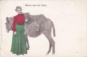 Donkeys Mama and The Baby