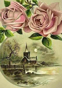 Beautiful Wilcox White Organ Piano Trade Card Pink Rose church Moonlight Water