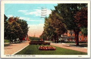 1939 Iowa Avenue Iowa City Iowa Landscape Trees Flowers Houses Posted Postcard