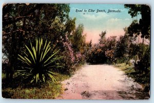 Bermuda Postcard Road to Elba Beach c1910 Antique Posted Phoenix Drug Co.
