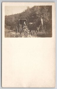 RPPC Claribell With Her Horse & Buggy Springfield MA Massachusetts Postcard T23