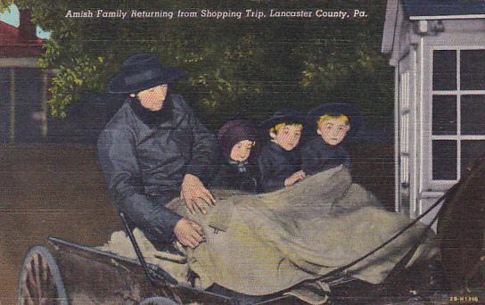 Amish Family Returning From Shopping Trip Lancaster County Curteich