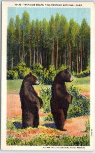 Postcard - Twin Cub Bears, Yellowstone National Park - Wyoming