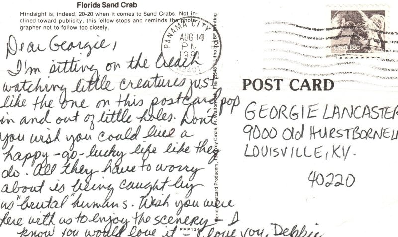 Vintage Postcard 1981 Florida Sand Crab Ocean Water Creature Northwest Florida 