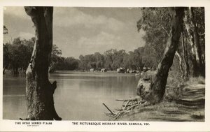 australia, VIC, ECHUCA, The Picturesque Murray River, Rose Series RPPC