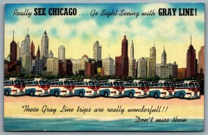 Postcard Chicago IL c1950s Gray Line Sight Seeing Tours Advertisement Busses