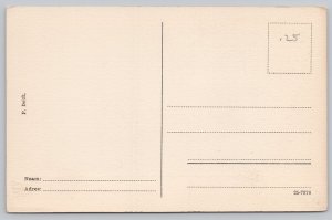 Postcard Delft Netherlands William I Statue Tomb 1910s View