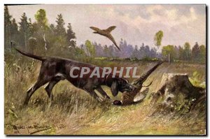 Postcard Old Hunting Dog Partridge