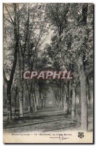 Bayonne Old Postcard The Navy alleys