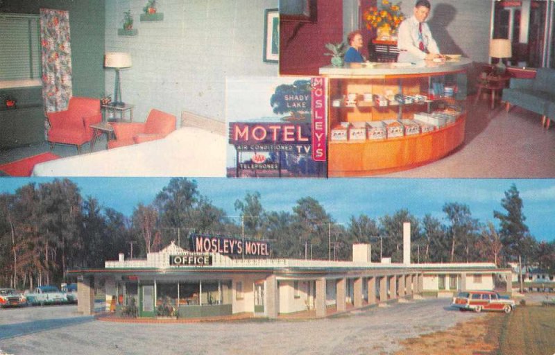 Rocky Mount North Carolina Mosely's Shady Lake Motel Vintage Postcard JI657957