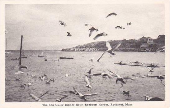 Massachusetts Rockport The Sea Gulls Dinner Hour Rockport Harbor Albertype