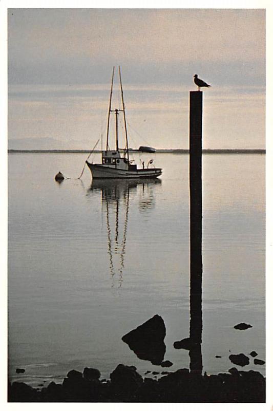 California Coast - 