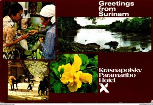 Surinam Paramaribo Greetings Courtesy Of Krasnapolsky Paramaribo Hotel