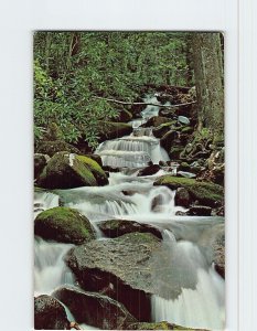Postcard View of Le Conte Creek, Great Smoky Mountains National Park, Tennessee