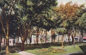 Vermont Burlington City Hall Park 1908