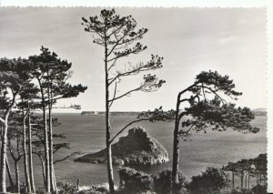 Devon Postcard - Thatcher Rock - Torquay - Real Photograph - Ref 9566A