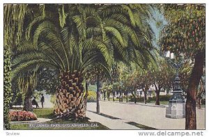 Scenic view, St. James Park, Los Angeles, California, PU_1921