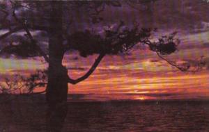 Alabama Mobile Sunset On Mobile Bay