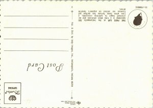 Aerial View Pace Lap Indianapolis 500 Postcard A13