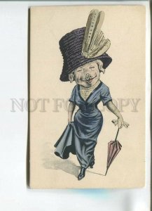 482146 Dressed PIG Lady FASHION Large Hat Vintage postcard NOVITAS #52963