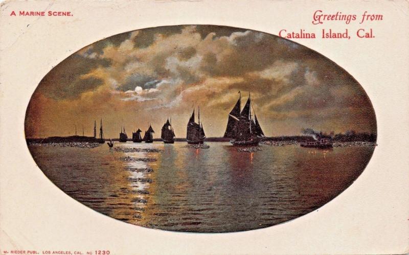 CATALINA ISLAND CA~GREETINGS FROM-MARINE SCENE-SAILBOATS MOONLIGHT POSTCARD 1905