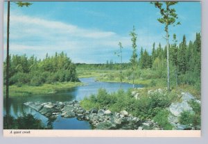 A Quiet Creek, Greetings From Martin River, Ontario, Chrome Postcard