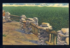 Morgantown, West Virginia/WV Postcard, Safety Wall. Cooper Rocks State Forest