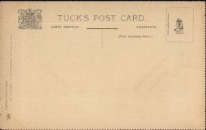 Scarce Unnumbered TUCK Series Bug Insect Study Perforated Edges Postcard #2 