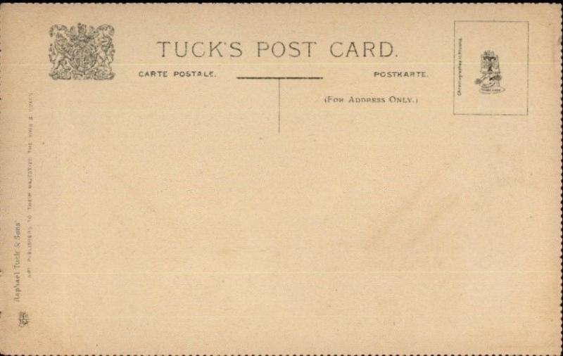 Scarce Unnumbered TUCK Series Bug Insect Study Perforated Edges Postcard #2 