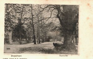 Netherlands Vuursche Dorpsstraat Vintage Postcard 03.78