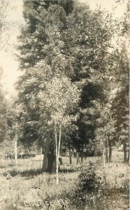 New Mexico Cloudcroft 1920s Roadside RPPC Photo Postcard 22-10475