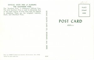 US    PC5381  SOUTHERN PINE, STATE TREE OF ALABAMA