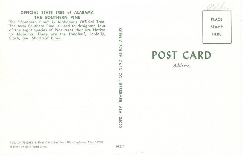 US    PC5381  SOUTHERN PINE, STATE TREE OF ALABAMA