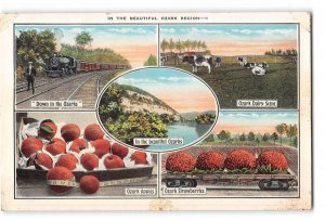Ozark Region Postcard 1915-1930 Various Scenes Fantasy Fruit Cows Train