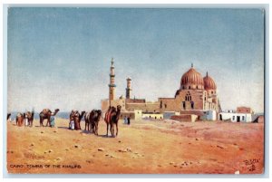 c1910 Cairo Tombs of the Khalifs Picturesque Egypt Oilette Tuck Art Postcard