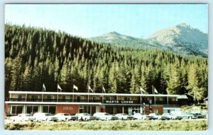 LAKE LOUISE, ALBERTA Canada ~ Roadside WAPTA LODGE MOTOR HOTEL c1960s Postcard