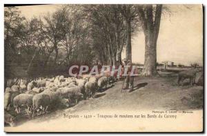 Old Postcard Brignoles Flock of sheep on the banks of Caramy