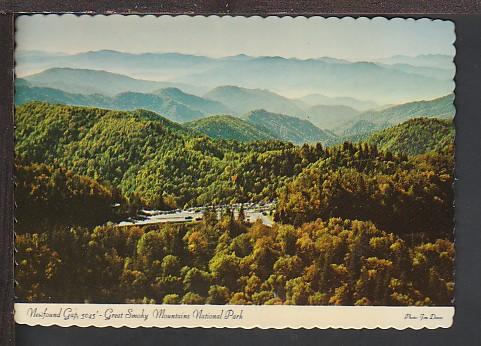 New Found Gap Great Smoky Mountains Postcard BIN 