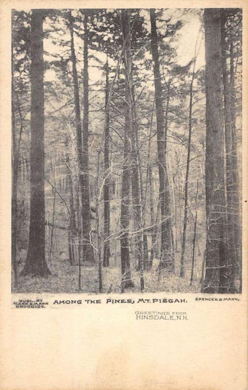 Hinsdale New Hampshire Mt Pisgah Among The Pines Antique Postcard K97065