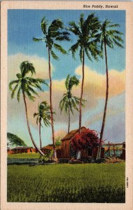 VINTAGE POSTCARD RICE PADDY AND VILLAGE HUTS ON HAWAII c. 1935