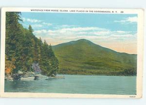 Damaged Back W-Border MOOSE ISLAND Adirondacks - Lake Placid New York NY F4079