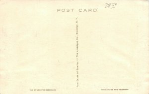 Berkeley California c1910 Albertype Postcard Women's Swimming Pool University CA