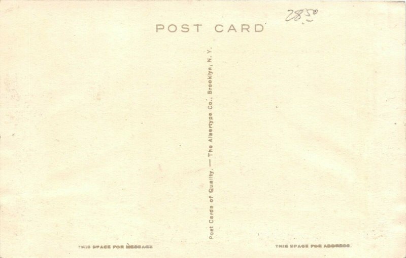 Berkeley California c1910 Albertype Postcard Women's Swimming Pool University CA