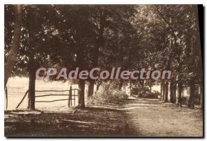 Postcard Old Evry Notre Dame De Sion Grandbourg alle chestnut