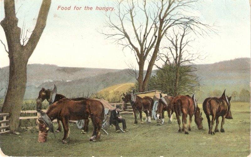 Food for the hungry. Horses Nice old vintage English postcard