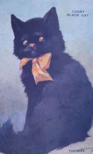 Black Cat Kitten Lucky Cute Signed A Kennedy Antique Vintage Postcard Unused