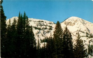 Mt. Wolverine, Brighton, Utah, skiing, summit, elevation, scenery, Alta postcard