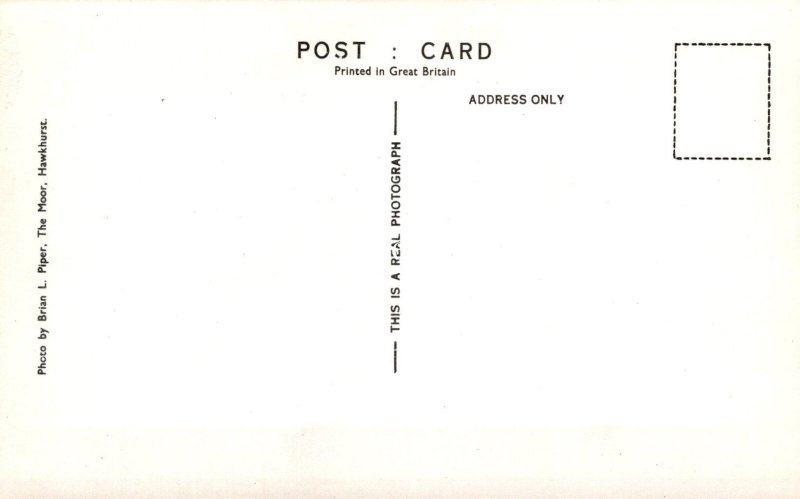 Kent Postcard - The Moor, Hawkhurst  SW18899